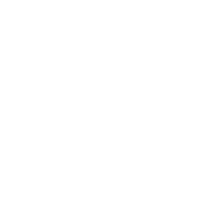 Phoenix LiDAR Systems Icon Logo – 300 px Clear Bg WH