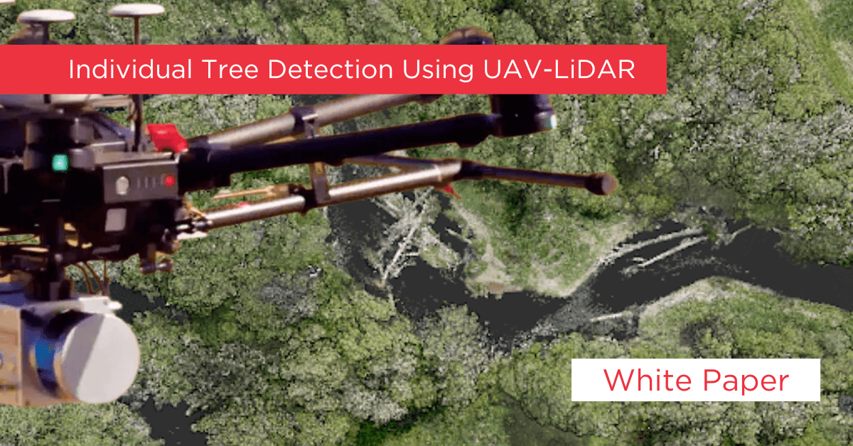 Individual Tree Detection Using UAV-LiDAR Feature Image - Phoenix LiDAR Systems