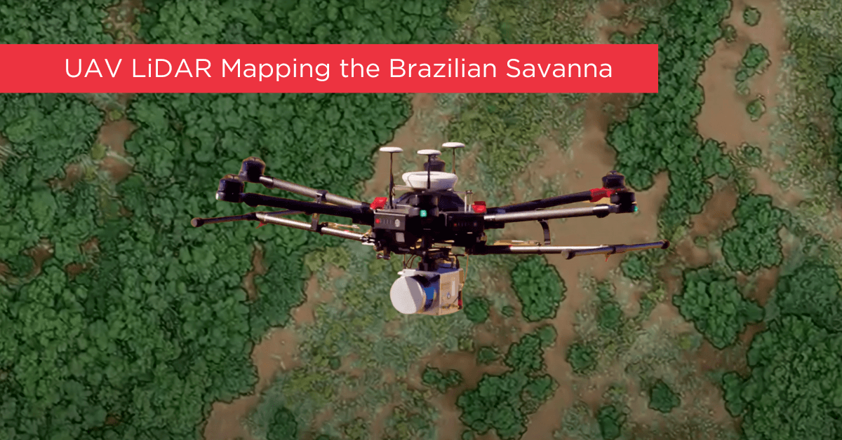 UAV LiDAR Mapping Brazilian Savanna